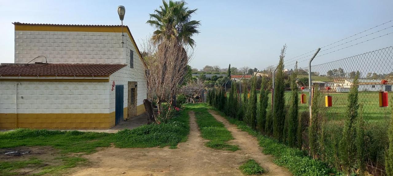 Huerta El Genoves Villa Carmona  Exterior foto