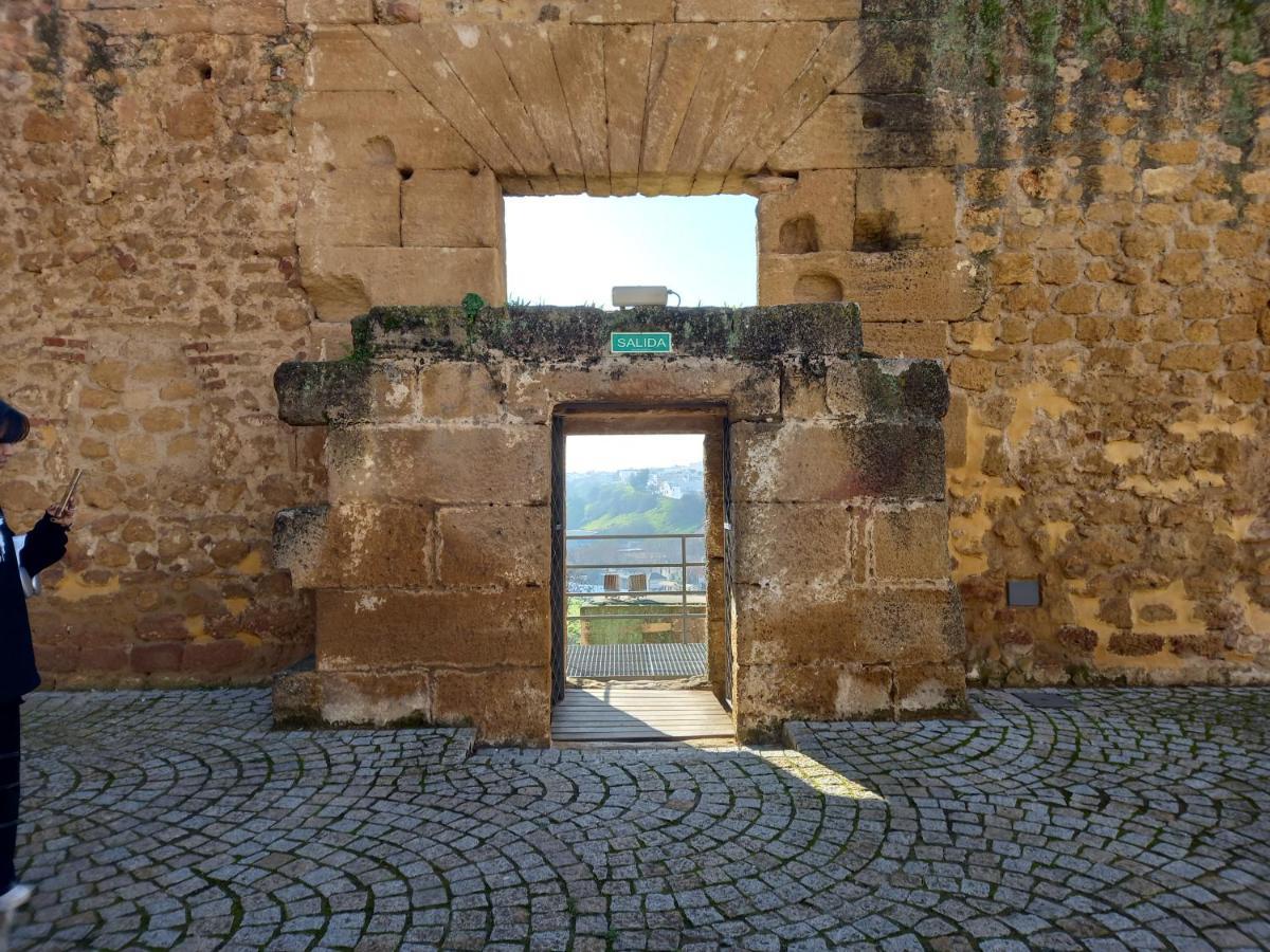 Huerta El Genoves Villa Carmona  Exterior foto