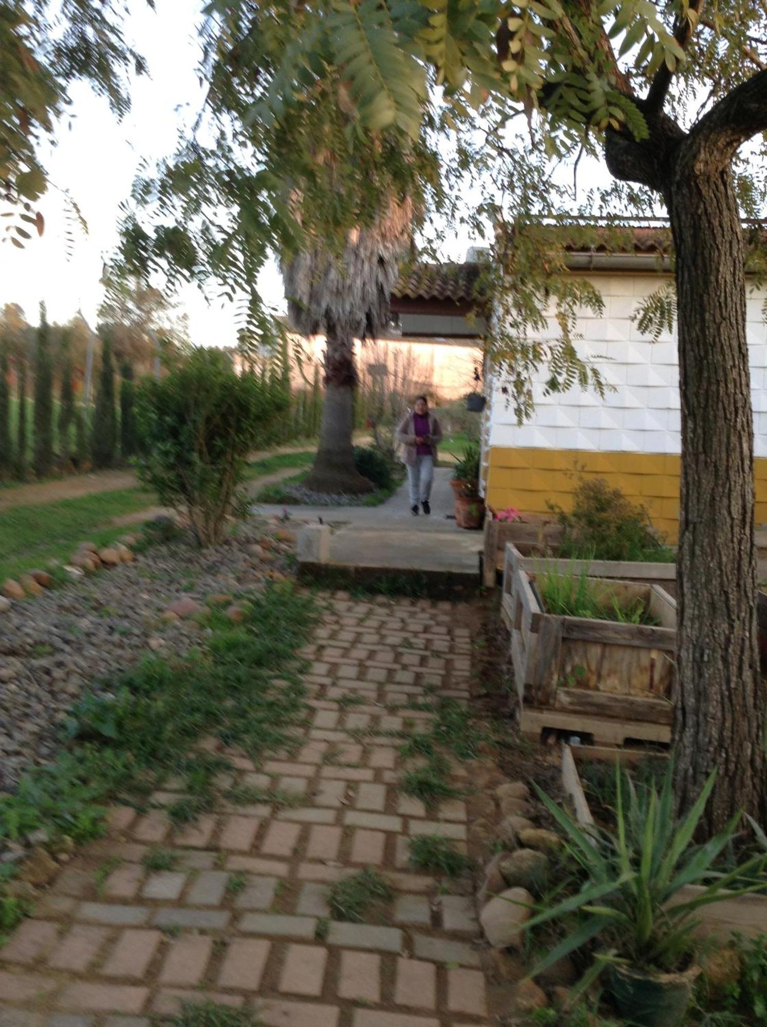 Huerta El Genoves Villa Carmona  Exterior foto